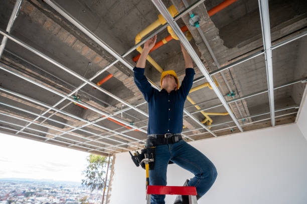Best Sewer Line Repair  in Bear Creek, FL