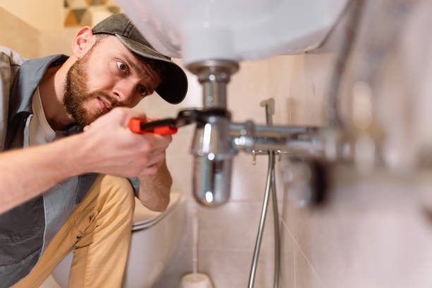 Best Clogged Drain Plumber  in Bear Creek, FL