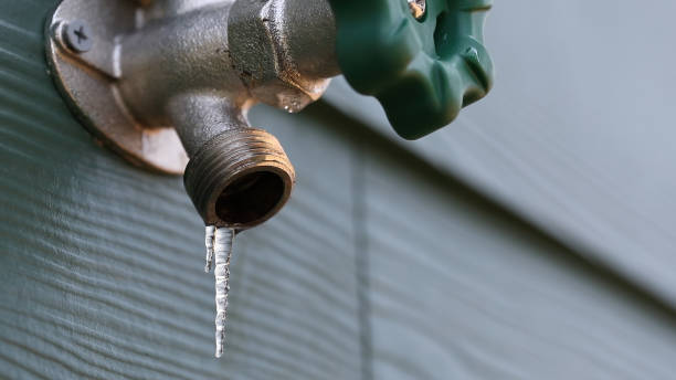 Best Pipe Repair Near Me  in Bear Creek, FL